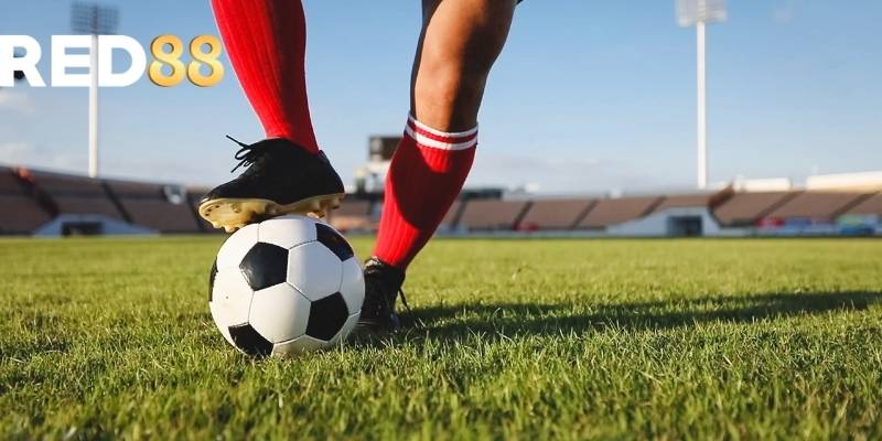 Người chơi có thể đặt cược trực tiếp vào từng trận đấu