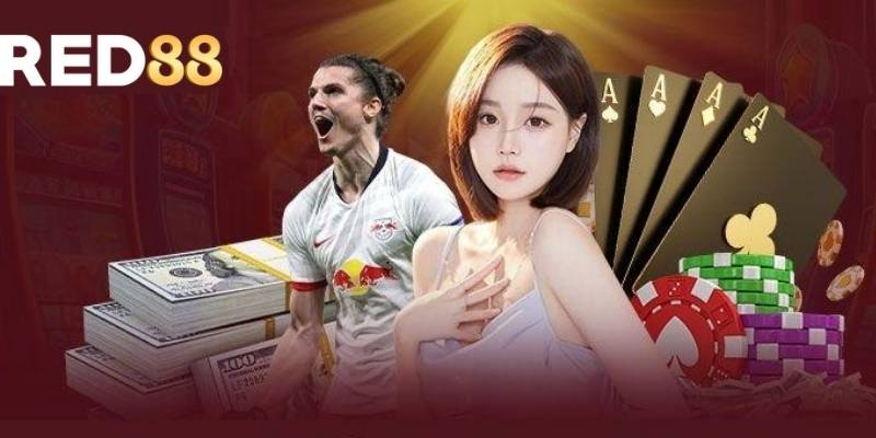 Một trong những tiêu chuẩn để đánh giá là giấy phép